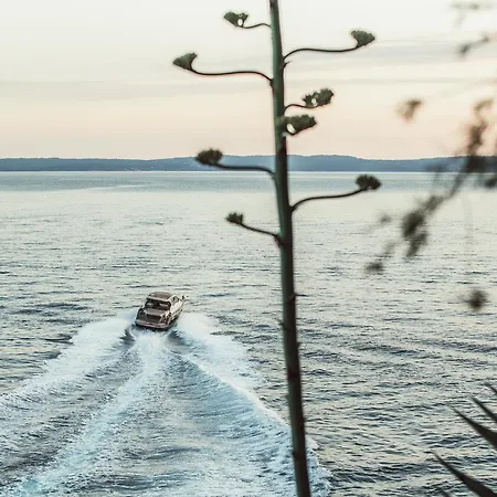 Botel Boat Brown Sugar